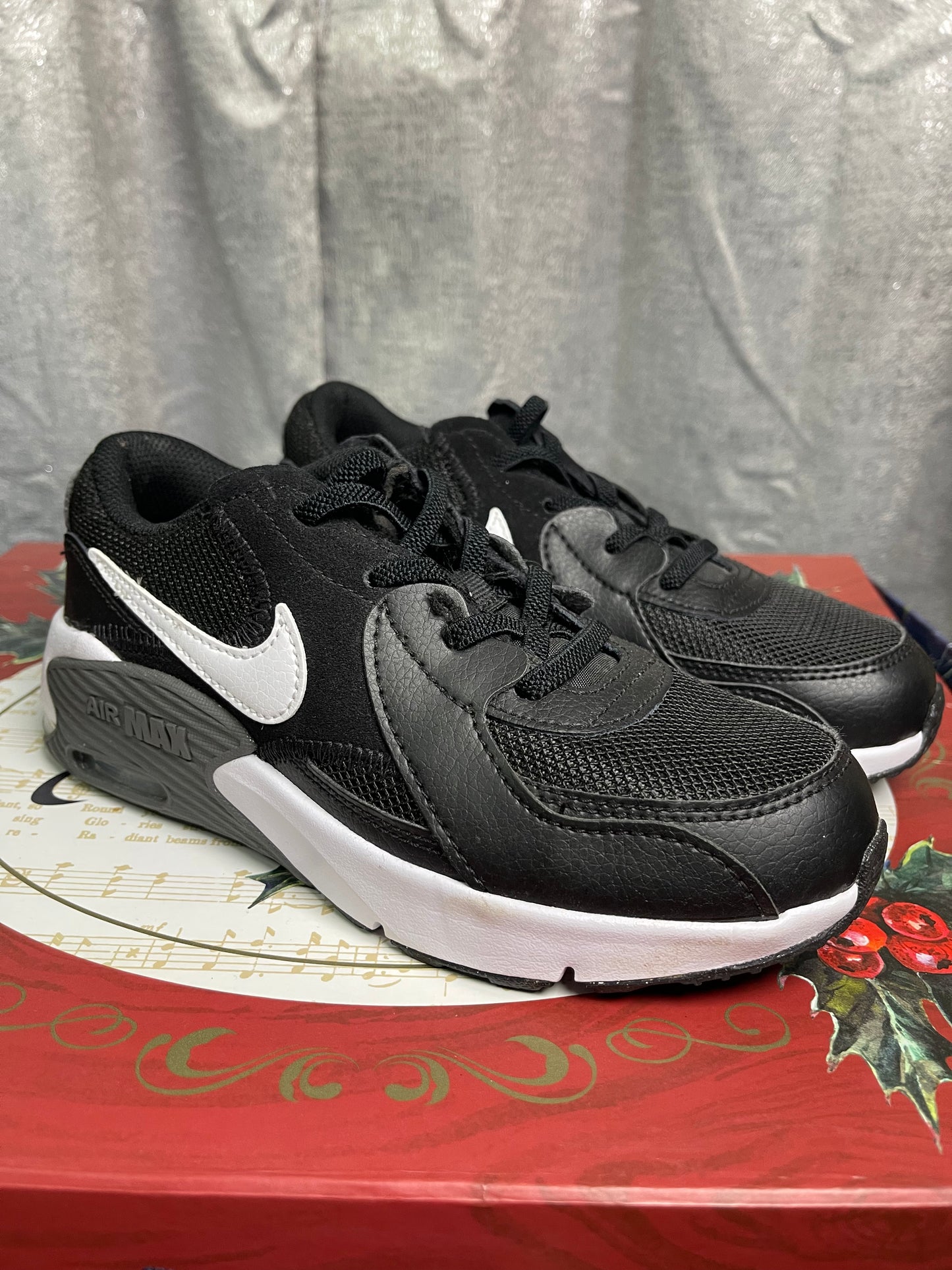 Boys Nike Air Max (Brand New!)